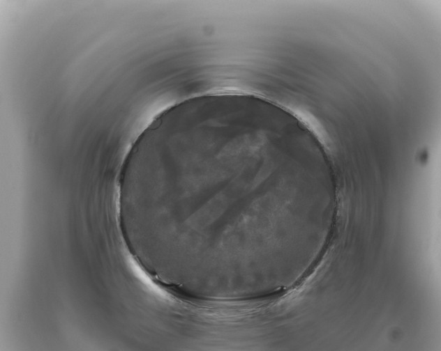 X0000093741476200710231201