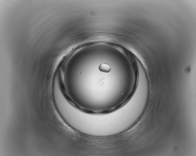 X0000093741477200710231201