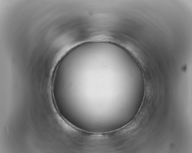 X0000093741478200710231201
