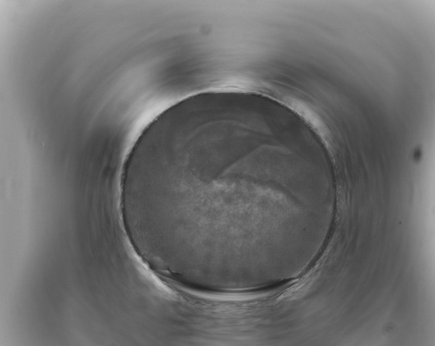 X0000093741480200710231201
