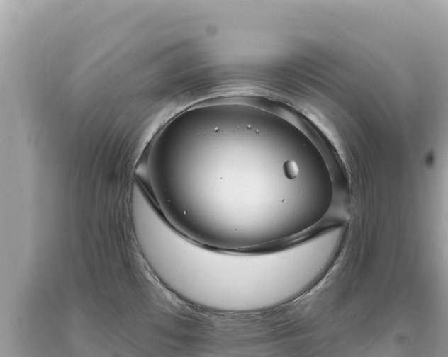 X0000093741481200710231201