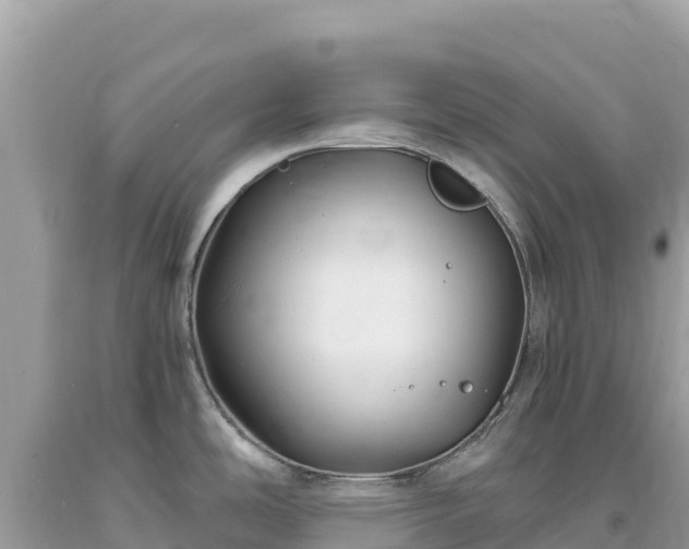 X0000093741486200710231201