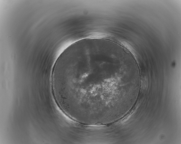 X0000093741487200710231201