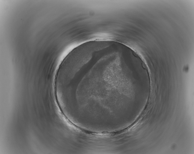 X0000093741488200710231201