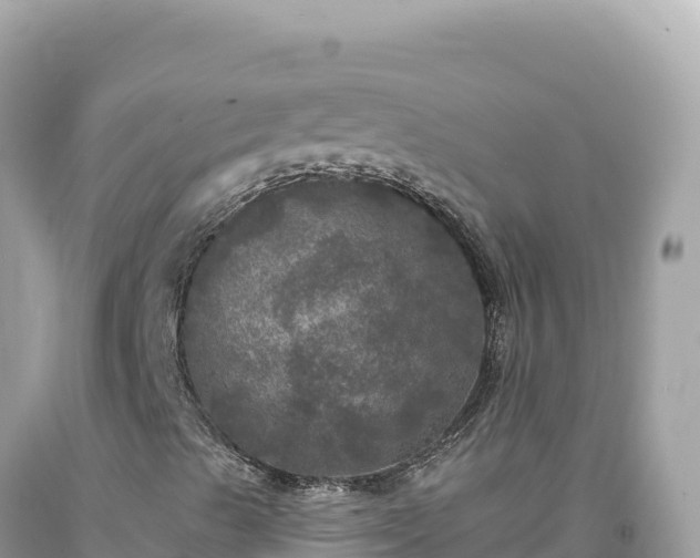 X0000093741489200710231200
