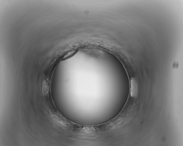 X0000093741491200710231201