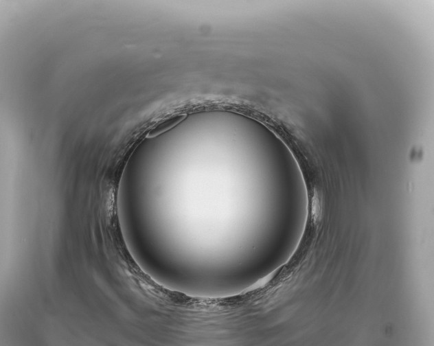 X0000093741492200710231201