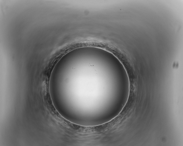 X0000093741493200710231201