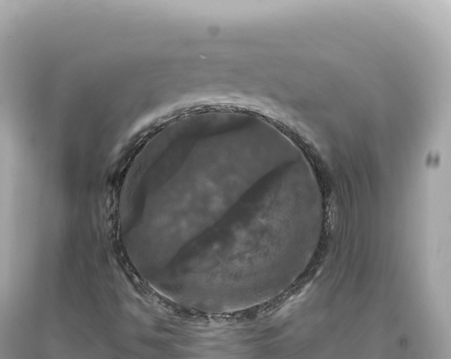 X0000093741494200710231201