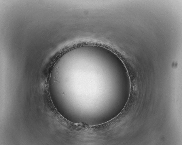 X0000093741495200710231201