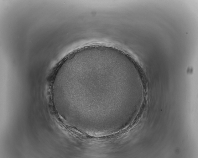 X0000093741496200710231201