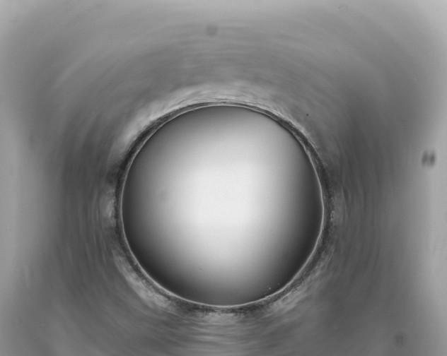 X0000093741499200710231201
