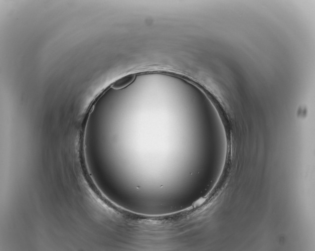 X0000093741500200710231201