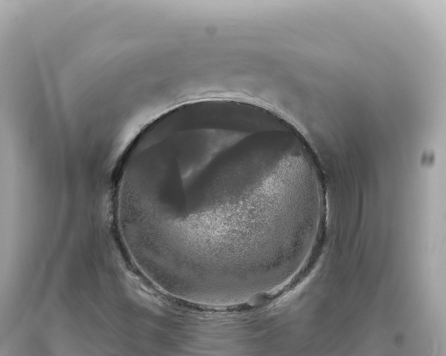 X0000093741501200710231201