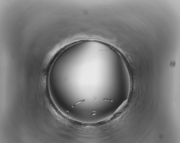 X0000093741503200710231201