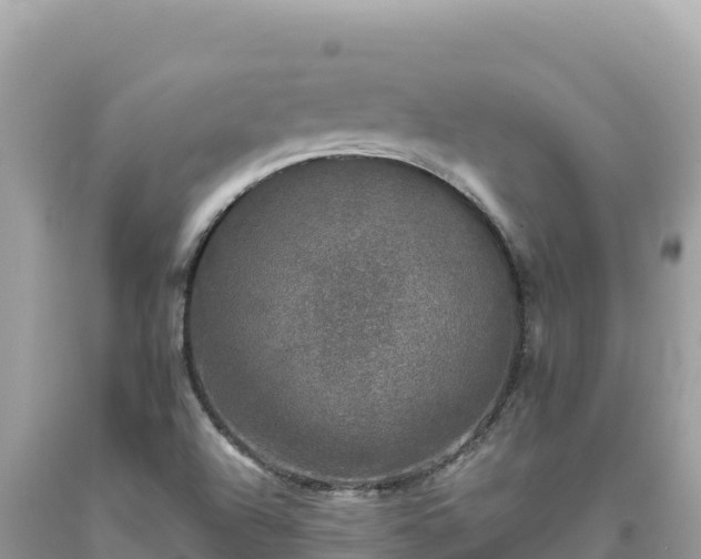 X0000093741504200710231201