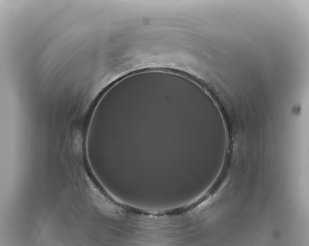 X0000093741505200710231201