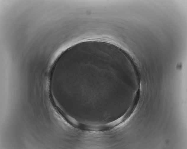 X0000093741506200710231201