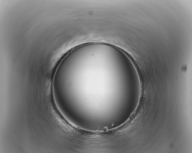 X0000093741507200710231201