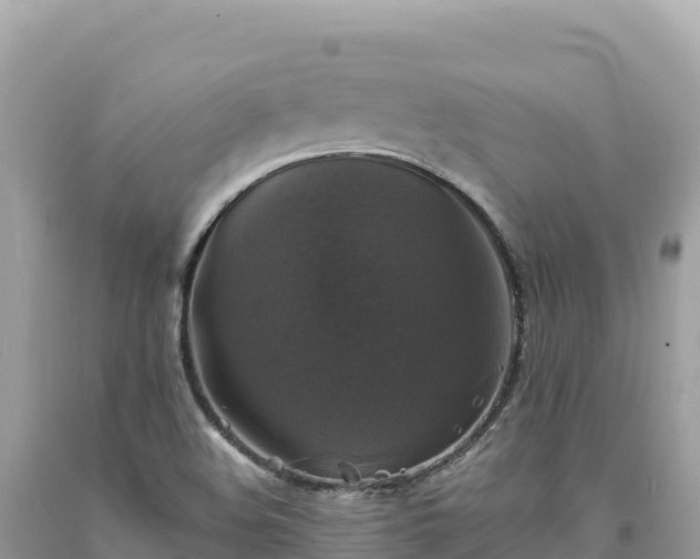 X0000093741508200710231201