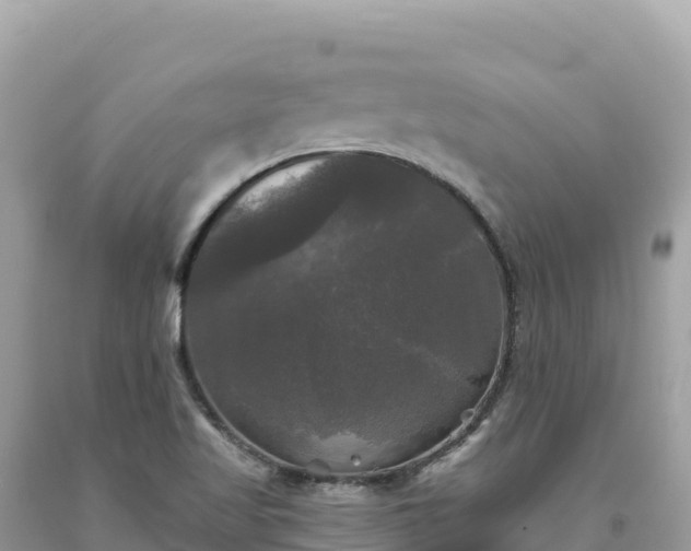 X0000093741509200710231201