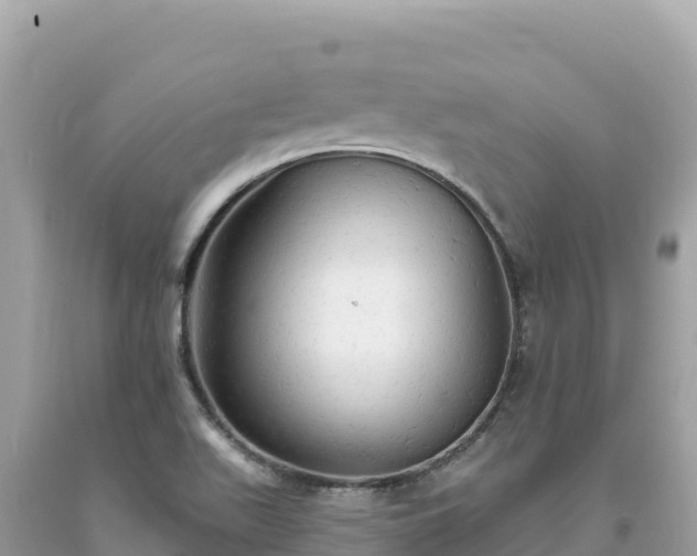 X0000093741511200710231201