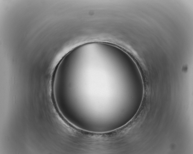 X0000093741512200710231201