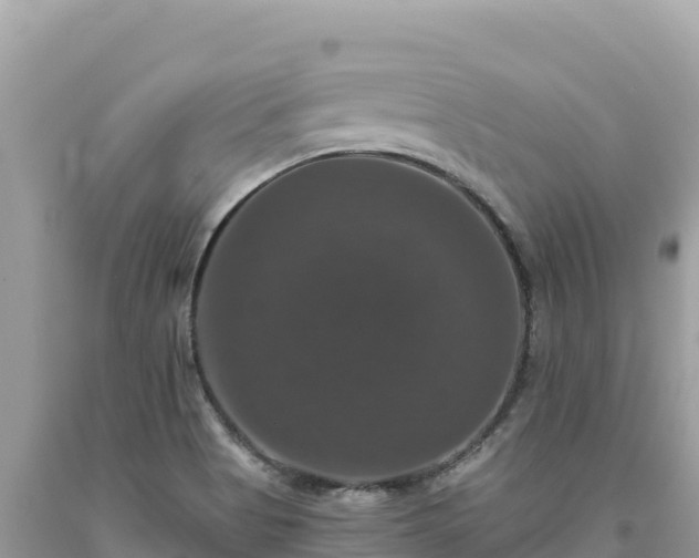 X0000093741513200710231201