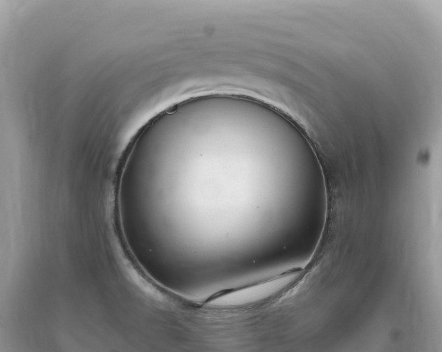 X0000093741518200710231201