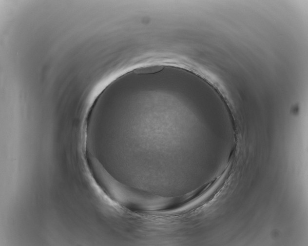 X0000093741520200710231201