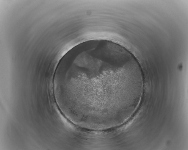 X0000093741521200710231201