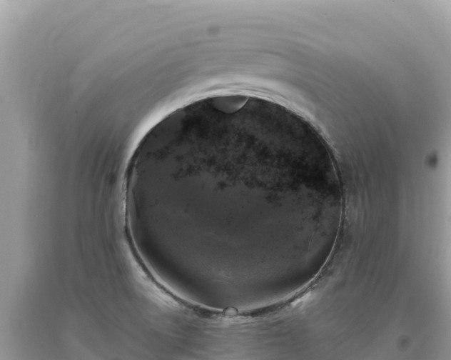 X0000093741522200710231201