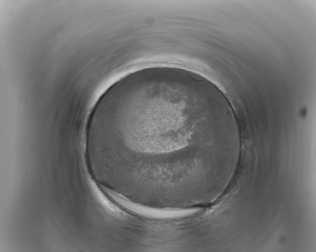 X0000093741523200710231201