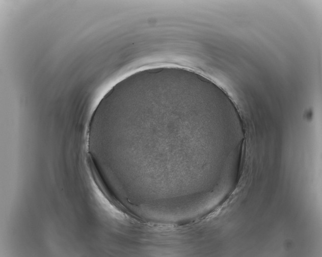X0000093741524200710231201