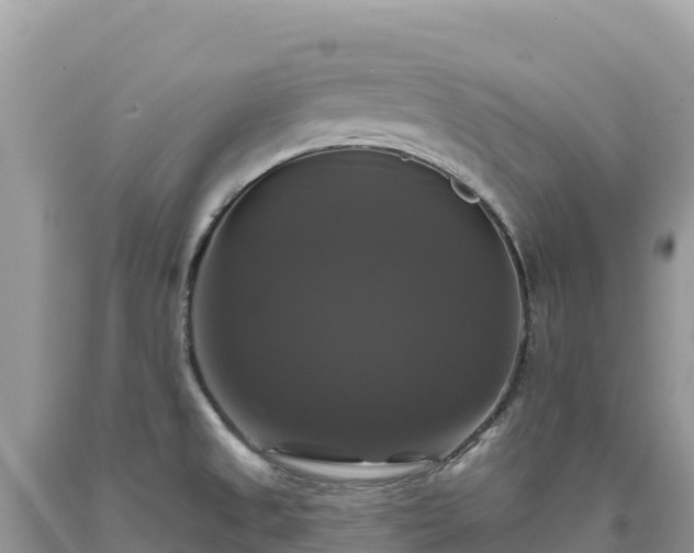 X0000093741525200710231201