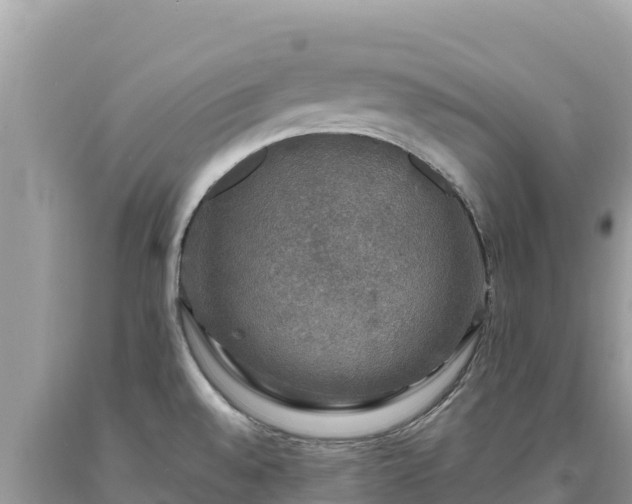 X0000093741528200710231201