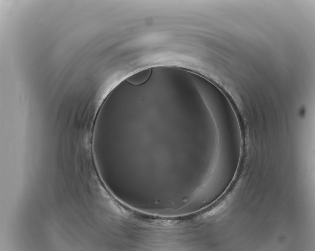 X0000093741529200710231201