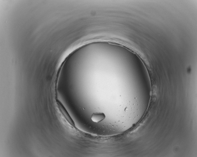 X0000093741530200710231201