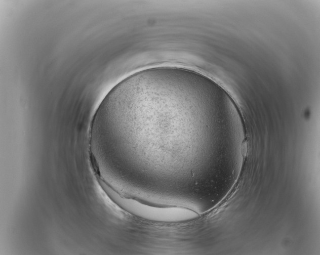 X0000093741532200710231201