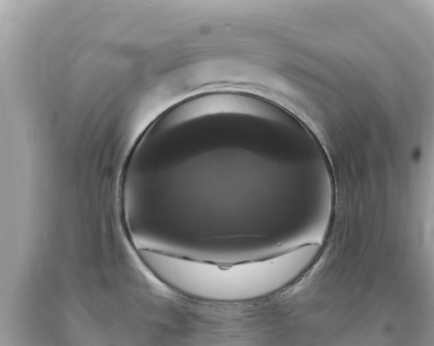 X0000093741533200710231201