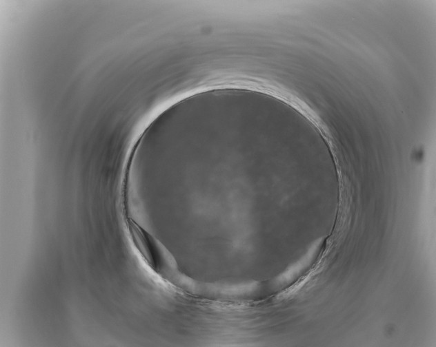 X0000093741536200710231201