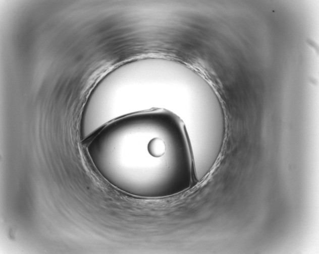 X0000093740001200710301114