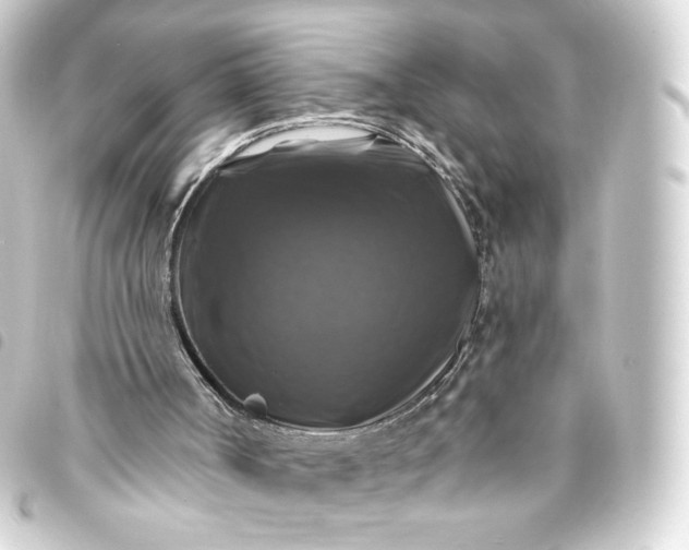 X0000093740002200710301114