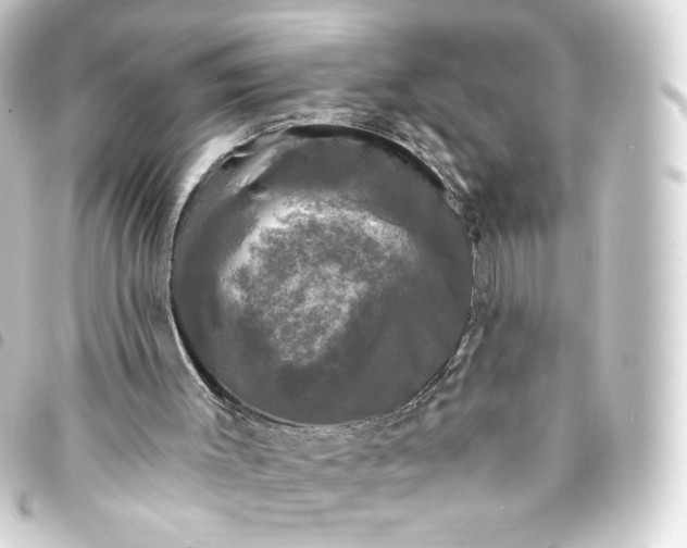 X0000093740003200710301114