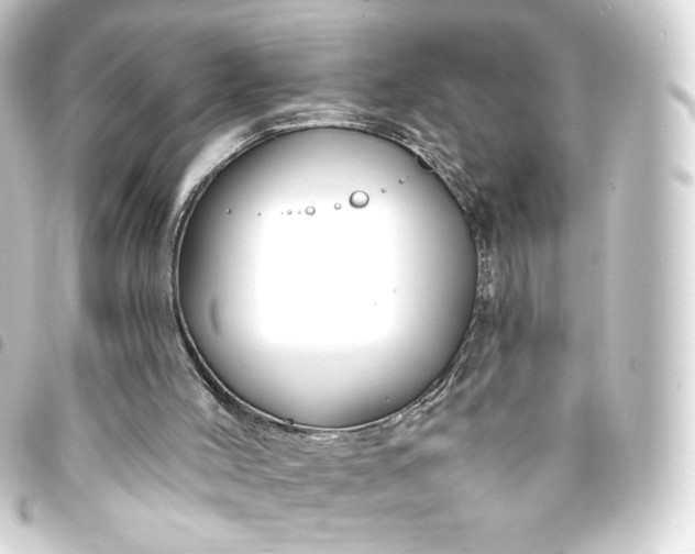 X0000093740004200710301114