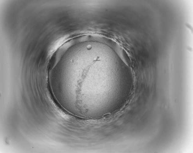 X0000093740005200710301114