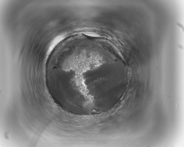 X0000093740006200710301114