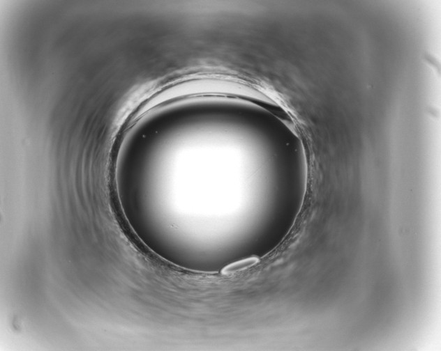 X0000093740007200710301114