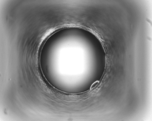 X0000093740008200710301114