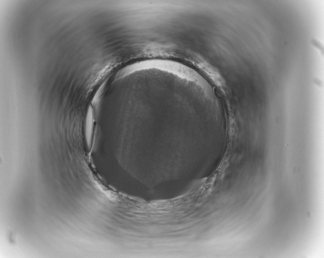 X0000093740009200710301114